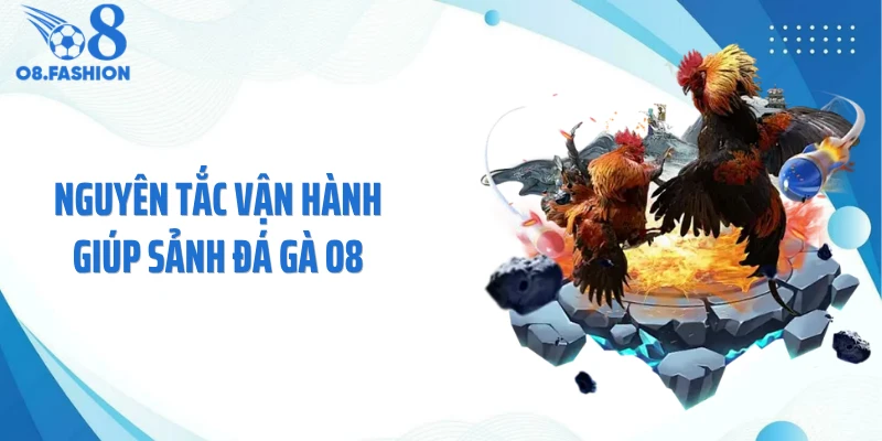 Nguyên tắc vận hành giúp sảnh đá gà O8