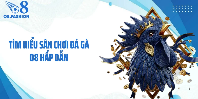 Tìm hiểu sân chơi đá gà O8 hấp dẫn